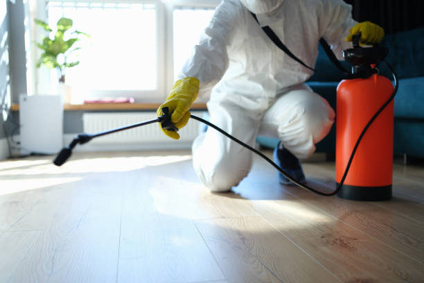 Reliable Blood Cleanup contractor in Sequoia National Park, CA by Trauma Clean Pros